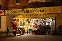 Forever Green Florist and Gifts 1075754 Image 0
